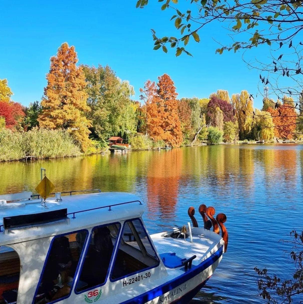 Csuka48 Apartman Сарвас Екстериор снимка